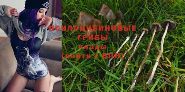MDMA Каменка