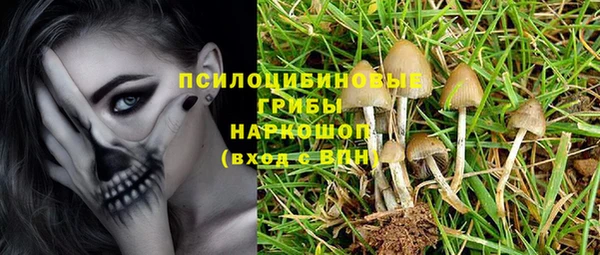 MDMA Каменка