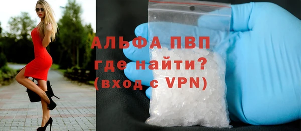 mdpv Каменногорск