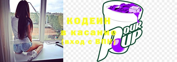 шишки Иннополис