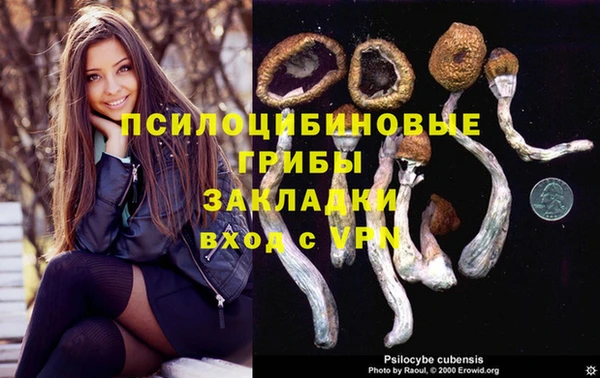 метадон Каменск-Шахтинский