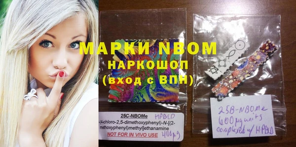гашик Инсар