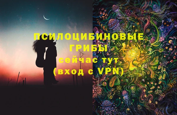 mdpv Каменногорск