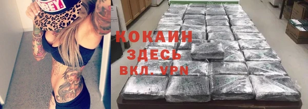 гашик Инсар